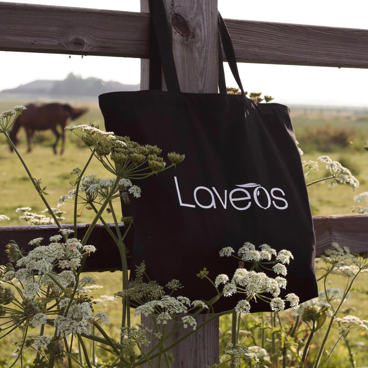 Canvas Bag