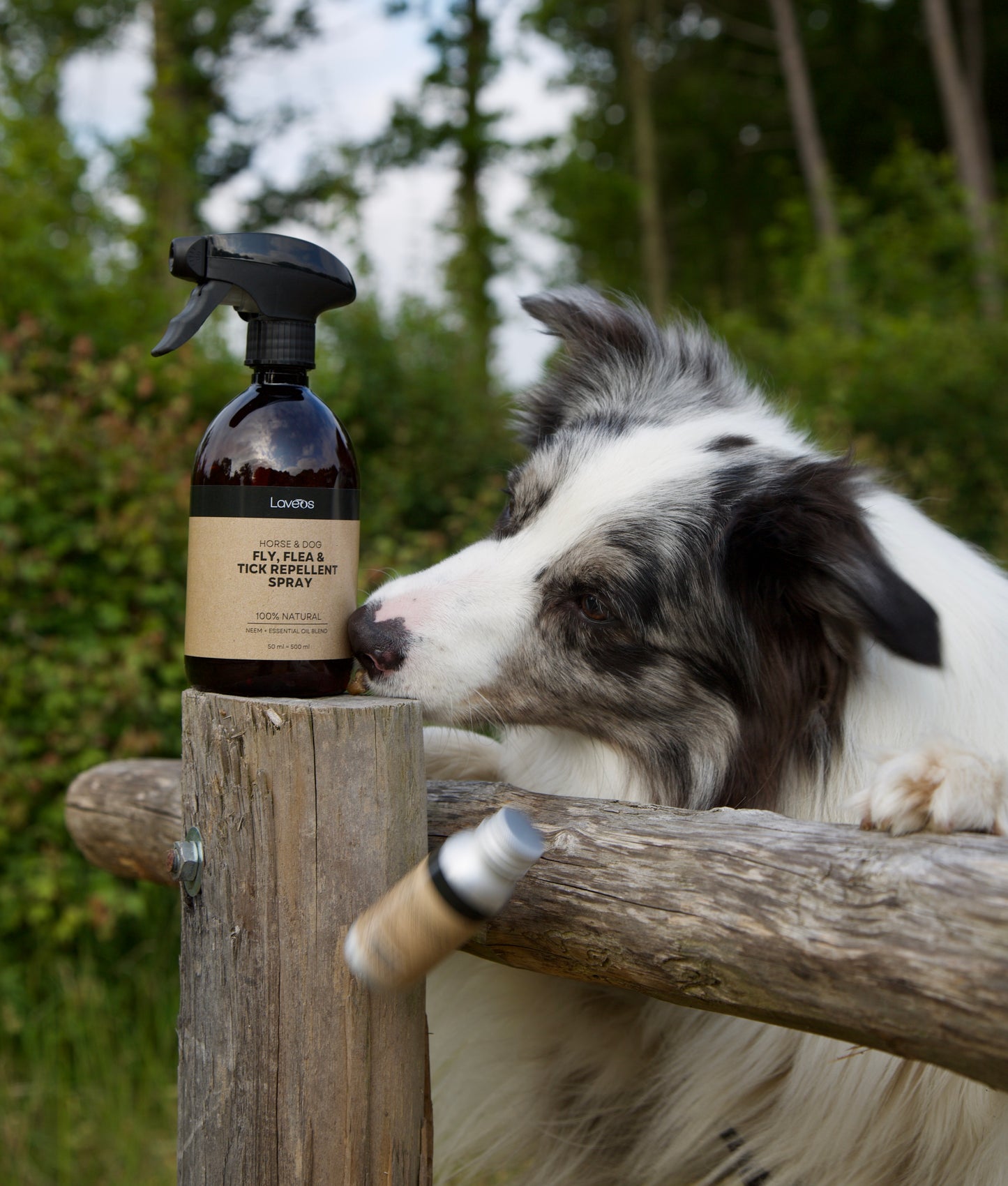 Fly, Flea & Tick Repellent Spray (incl. Flacon)