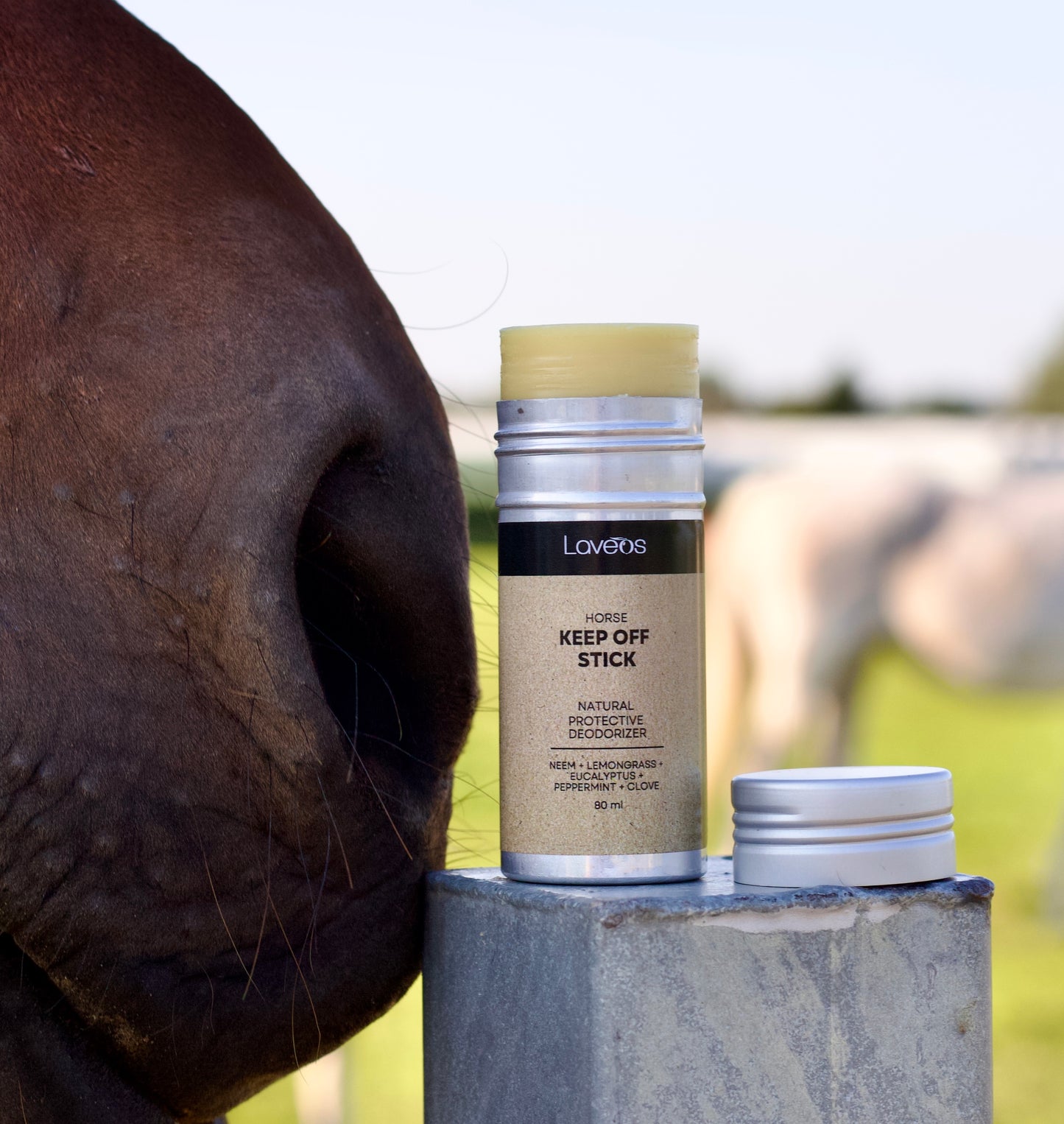 Horse - Keep Off Stick