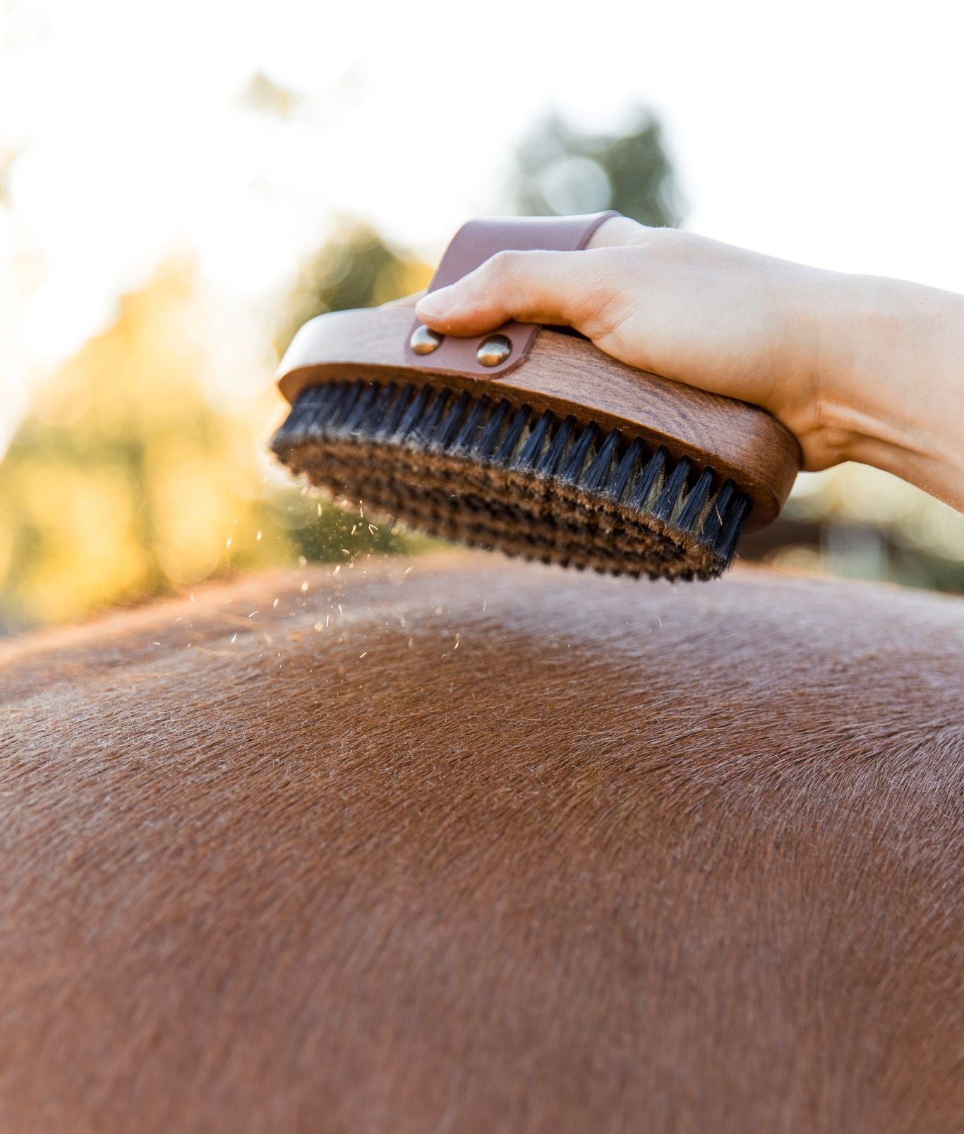 Deluxe Deep Clean Brush