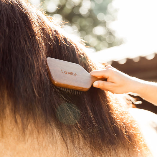 Mane & Tail Brush