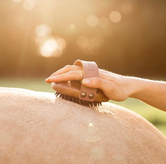Rubber Groom & Massage Brush
