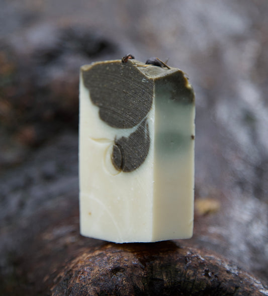 LIMITED EDITION - Woodland