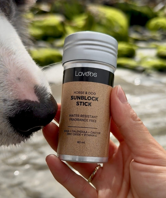 Horse & Dog - Sunblock Stick