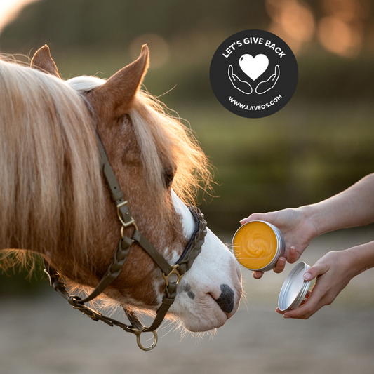 Horse & Dog - Honey Salve