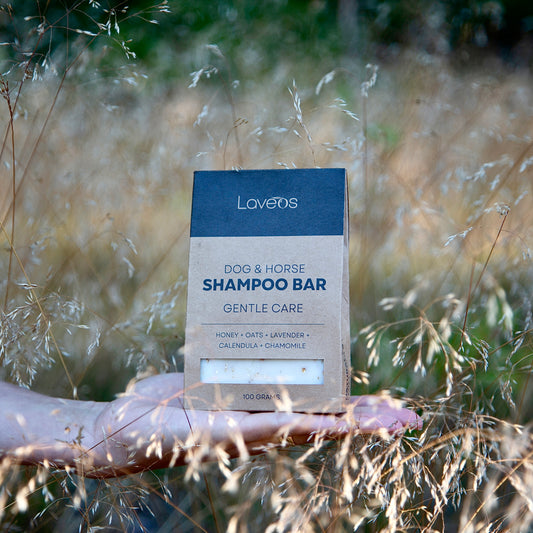Shampoo Bar Gentle Care