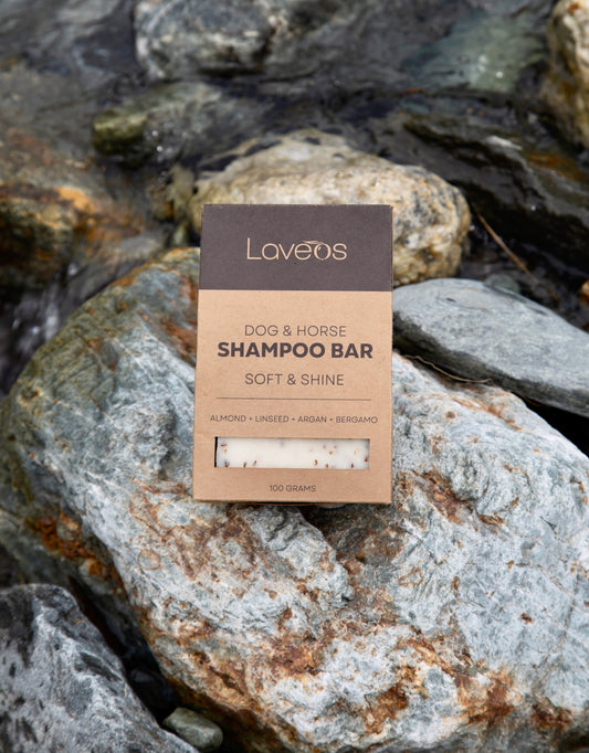 Shampoo Bar Soft & Shine